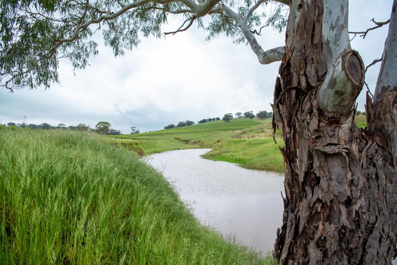 Triple Creek Guest House - Barossa Region Seppeltsfield Екстер'єр фото