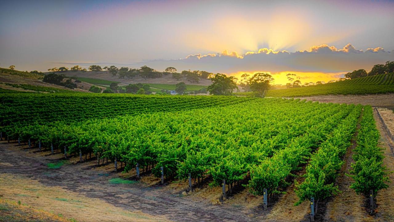 Triple Creek Guest House - Barossa Region Seppeltsfield Екстер'єр фото